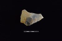 陶蓋鈕藏品圖，第2張